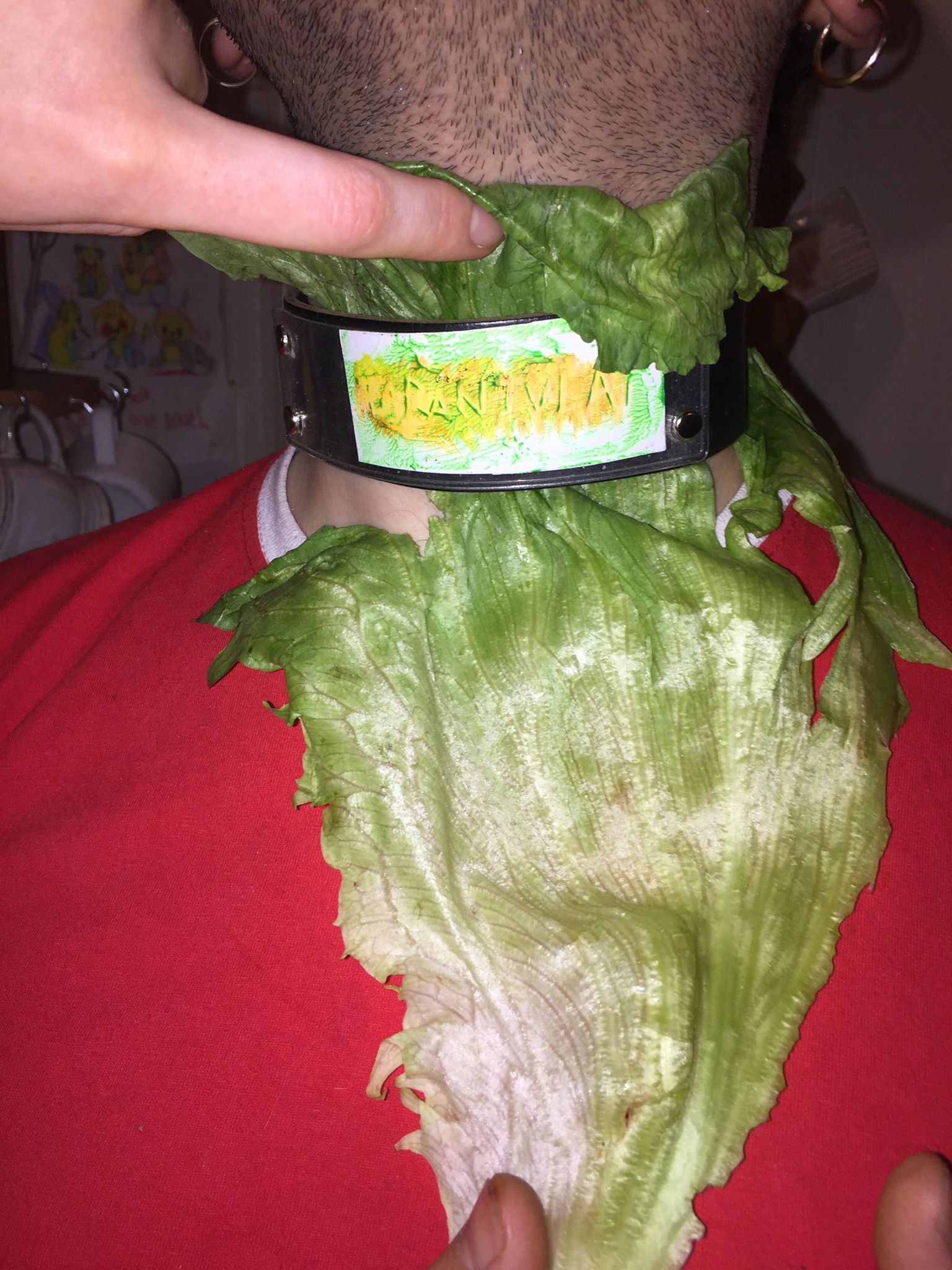 seb sticker lettuce